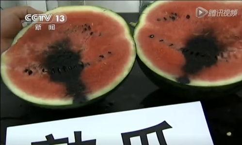 今日辛集吃瓜视频最新,揭秘今日热门事件幕后真相