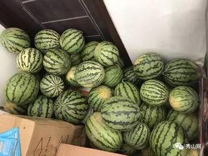 今日辛集吃瓜视频最新,揭秘今日热门事件幕后真相