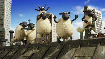 红羊电影公司,光影交织，讲述时代故事