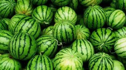 十堰今日吃瓜事件真相,揭秘背后真相，还原事件始末