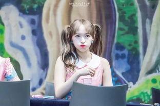 吃瓜少女喵娱乐,揭秘娱乐圈幕后故事