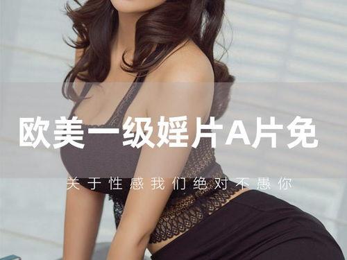 欧美a级电影,光影交织的视听盛宴