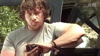 欧美a级电影,光影交织的视听盛宴