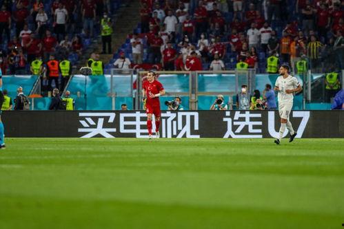 欧洲杯,激情碰撞，荣耀时刻回顾