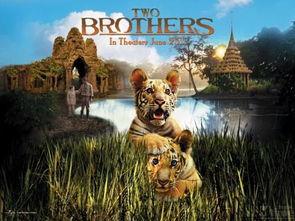 电影两只老虎,温情与幽默交织的童年回忆